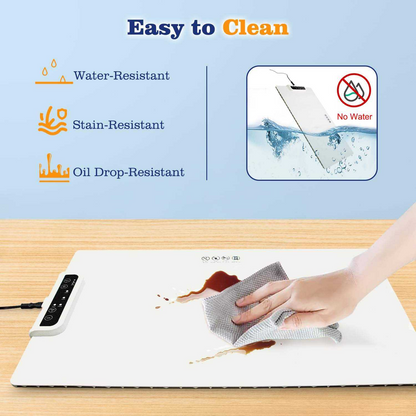 Electric Warming Tray